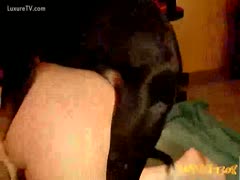 A fat whore finds pleasure in her dog
